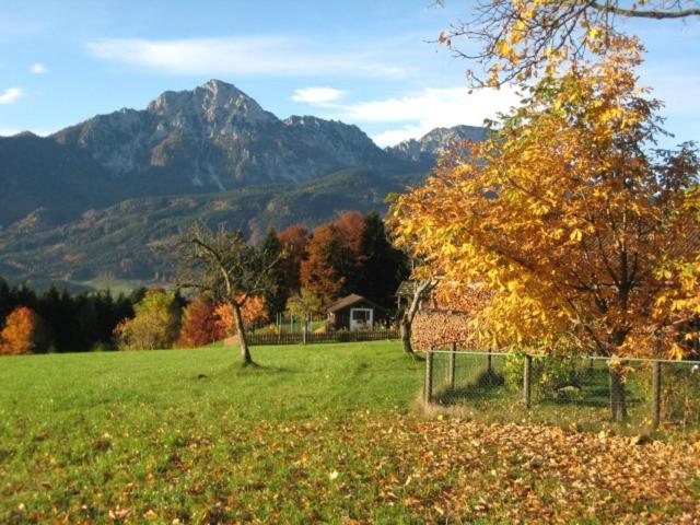 Ferienwohnung Haus Gollinger Anger Exterior foto